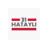 TSC 31 Hataylı Plaka Araba Sticker Yapıştırması Çok Renkli, EYh1Y21