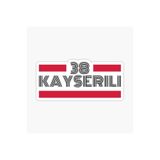 TSC 38 Kayseri Plaka Araba Sticker Yapıştırması Çok Renkli, EYh1Y25