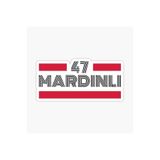 TSC 47 Mardinli Plaka Araba Sticker Yapıştırması Çok Renkli, EYh1Y28