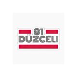 TSC 81 Düzceli Plaka Araba Sticker Yapıştırması Çok Renkli, EYh1Y37
