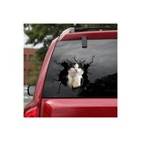 TSC Araba Arka Cam Kedi Sticker Yapıştırma 17cm Renkli, StickerAx3