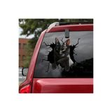 TSC Araba Arka Cam Kedi Sticker Yapıştırma 17cm Renkli, StickerAx4