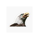 TSC Araba Kartal Oto Sticker Yapıştırması Beyaz 17cm, etiket13zz-17