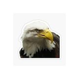 TSC Araba Kartal Oto Sticker Yapıştırması Beyaz 17cm, etiket13zz-39