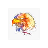 TSC Araba Kartal Oto Sticker Yapıştırması Beyaz 17cm, etiket13zz-50