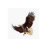 TSC Araba Kartal Oto Sticker Yapıştırması Beyaz 17cm, etiket13zz-67
