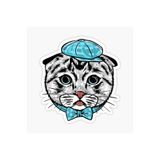 TSC Araba Laptop Kedi Oto Sticker Yapıştırması Beyaz 17cm, etiket13zz-100