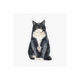 TSC Araba Laptop Kedi Oto Sticker Yapıştırması Beyaz 17cm, etiket13zz-99
