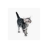 TSC Araba Laptop Kedi Tekir Sticker Yapıştırma Etiket 17cm Beyaz, etiket13zz-107