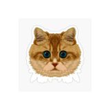TSC Araba Laptop Kedi Tekir Sticker Yapıştırma Etiketi 17cm Beyaz, etiket13zz-104