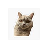 TSC Araba Laptop Kedi Tekir Sticker Yapıştırma Etiketi 17cm Beyaz, etiket13zz-105