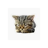 TSC Araba Laptop Kedi Tekir Sticker Yapıştırma Etiketi 17cm Beyaz, etiket13zz-106