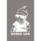 TSC Arabada Bebek Var Araba Sticker Oto Sticker 18x12 Cm Renkli, 85HOETİKET-27