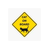 TSC Arabada Kedi var Cats On Board Sticker Yapıştırma 19CM Renkli, EYMSS198