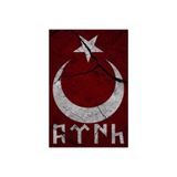 TSC Ay Yıldızlı Türk Bayrağı Ve Eski Türkçe Yazı Karakteri Sticker 18cm Renkli, tscledxz34