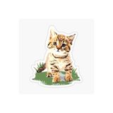 TSC Bebek Kedi Araba Oto Sticker Etiket Renkli A4 Beyaz, Kedixx67