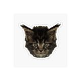 TSC Bebek Kedi Araba Oto Sticker Etiket Renkli Beyaz A1, Kedixx64