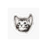 TSC Bebek Kedi Araba Oto Sticker Etiket Renkli Beyaz E1, Kedixx82