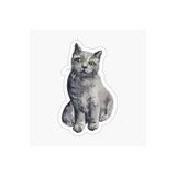 TSC Bebek Kedi Araba Oto Sticker Etiket Renkli E5 Beyaz, Kedixx86