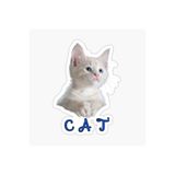 TSC Bebek Kedi Araba Oto Sticker Etiket Renkli E8 Beyaz, Kedixx89