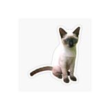 TSC Bebek Kedi Araba Oto Sticker Etiket Renkli E9 Beyaz, Kedixx90