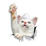 TSC Beyaz Ulaşan Kedi Sevimli Araba Çıkartması 18cm Çok Renkli, RENK27K49