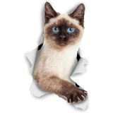 TSC Breakout Siyam Kedi Sevimli Araba Çıkartması Su Geçirmez Çok Renkli, STICKER-1A-23