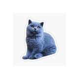 TSC British Shorthair Kedi Araba Oto Sticker Yapıştırma Etiket 17cm Beyaz, etiket13zz-132