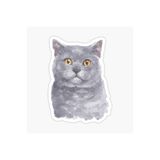 TSC British Shorthair Kedi Araba Oto Sticker Yapıştırma Etiket 17cm Beyaz, etiket13zz-140