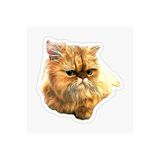 TSC Cins Kedi Iran Kedisi Araba Oto Sticker Etiket Renkli Z1 Beyaz, Kedixx21