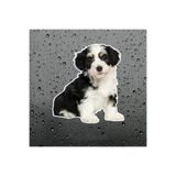 TSC Collie Köpek Araba Sticker Su Geçirmez Model 1 Çok Renkli, RENK-1A-23