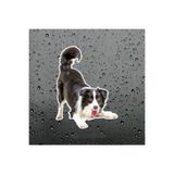 TSC Collie Köpek Araba Sticker Su Geçirmez Model 3 Çok Renkli, RENK-1A-25