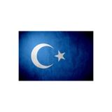 TSC Doğu Türkistan Bayrağı Sticker Oto Etiket 19 Cm Renkli, OTOETİKET-24