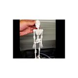 TSC Hareketli İnsan İskeleti 18CM Büyük Boy PLA Doğal Malzeme Dekoratif Biblo, PLADEkoratifx57