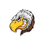 TSC Kartal Kafası Oto Araba Sticker Etiket 17 Cm Çok Renkli, RENK27K103