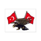 TSC Kartal Türk Bayrağı Ay Yıldız Sticker 19CM