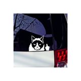 TSC Kedi Komik Şaka Sticker Etiket Yapıştırma 19cm Çok Renkli, STICKER2K11
