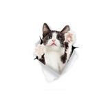 TSC Kedi Oto Araba Sticker Yapıştırması 18cm Renkli tscledxqq77