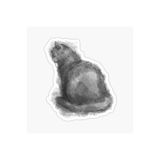 TSC Kedi Tekir Sticker Araba Laptop Yapıştırması 17cm Beyaz, etiket13zz-103