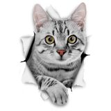 TSC Kırık Cam Efekti Kedi Araba Oto Sticker Etiket Beyaz Z1, Kedixx28