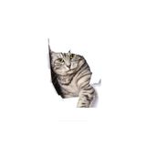 TSC Kırık Cam Efekti Kedi Araba Oto Sticker Etiket Beyaz Z2, Kedixx29