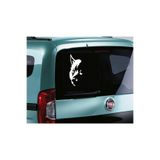 TSC Kurt Silüeti Oto Sticker Arka Cam Çok Renkli, L236