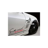 TSC Motorsport Yan Kapı Çamurluk Sticker Çok Renkli 2 Adet, L191