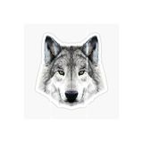 TSC Öfkeli Kızgın Kurt Araba Sticker Oto Yapıştırması 18cm Çok Renkli, Stickerqt109