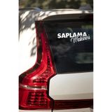 TSC Saplama Makinesi Araba Sticker 25x14cm Renkli Arka Cam, 8OTOETİKET-32