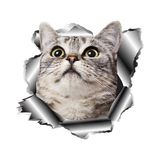 Tsc Sevimli Kedi Araba Sticker Yapıştırması 20 cm - Çok Renkli - 17CM
