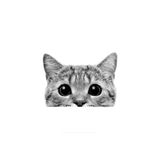 TSC Sevimli Kedi Resmi Araba Sticker Yapıştırma Etiket 18cm Çok Renkli, STICKER2K16