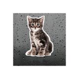 TSC Sevimli Yaramaz Kedi Araba Sticker Etiket 18cm Çok Renkli, RENK27K172