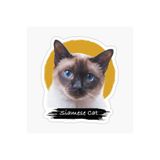 TSC Siamese Kedi Araba Oto Sticker Etiket Renkli V9 Beyaz, Kedixx45
