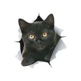 TSC Siyah Labrador Köpek Araba Sticker 18cm Çok Renkli, RENK27K178